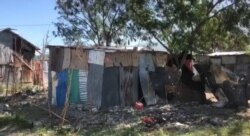 A view of some of the makeshift homes in the Ma Drapo quake survivor camp. (Matiado Vilme/VOA Creole)
