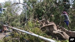 A man chops at parts of a tree branch fallen on a road after Cyclone Amphan hit the region in Kolkata, India, May 23, 2020.