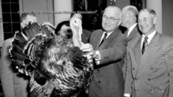 Presidential Pardon for Thanksgiving Turkey Has Long Tradition