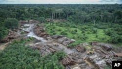 This May 8, 2018 photo released by the Brazilian Environmental and Renewable Natural Resources Institute shows an illegally deforested area in Brazil's Amazon basin. Scientists warn that Brazil's President-elect Jair Bolsonaro could push the rainforest past its tipping point.