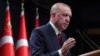 Turkey to Banish 10 Western Ambassadors, Erdogan Says