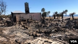 Arhivo - Michael no solo destrozó edificaciones, también devastó zonas agrícolas. ( Foto de Jose Pernalete y Jorge Agobián)