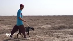 ڕاوچییە کوردەکان بۆ ڕاوکردن ڕوو لە ناوچەکانی ژێر دەسەڵاتی حکومەتی ناوەندی عێراق دەکەن