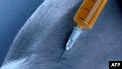 Việt Nam phạt tử hình 5 người buôn ma túy