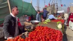 افغان سوک وهونکی چې اوس بورډ بازار کې سبزي پلوري
