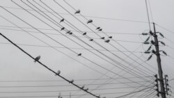 Tile damadɔ ka kɔn Ramadan ɲɛ, fanga ye layidu ta kuran sɔrɔli ye lɛrɛ 19 tile kɔnɔ.