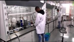 Scientists Report Progress on Malaria Treatment Tests