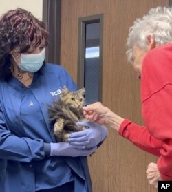 US Palisades Cat Reunion