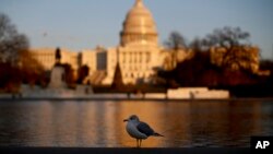 Các ứng viên của Đảng Dân chủ mong giành được thêm 23 ghế tại Hạ viện và hai ghế tại Thượng viện để chiếm quyền kiểm soát cả hai viện của Quốc hội Mỹ 