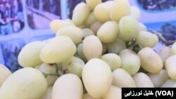 بخشی از حاصلات انگور هرات به پاکستان صادر می شود