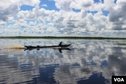 FILE - Man in klotok boat navigates through peat swamp near Lake Sambujur, North Hulu Sungai, South Kalimantan, Indonesia. (B. Hope for VOA)