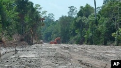 An excavator works amid thick forest in the area PT Kal has slated for conservation, and company heads worry that wide roads like this will kill its chance of selling carbon credits, in West Kalimantan, Indonesia, September 2011.