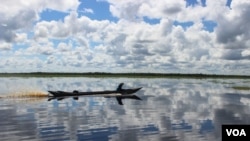 A man in a klotok boat navigates through a peat swamp near Lake Sambujur, North Hulu Sungai, South Kalimantan, Indonesia. Some peat forests have been drained for years, creating an imbalance in the water table that has left areas vulnerable to fires and flooding. (B. Hope/VOA)