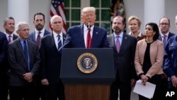 President Trump declared the coronavirus pandemic a national emergency in the Rose Garden of the White House, March 13, 2020.