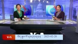 དཔྱད་བརྗོད། 