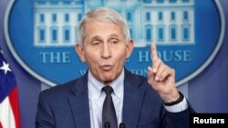 Dr. Anthony Fauci berbicara di Gedung Putih, Rabu (1/12). 