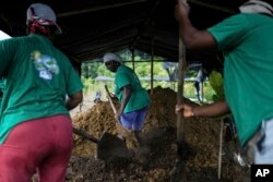 A group of women, part of Asociacion Nuestra Casa Comun, or Our Community House Association, work to reforest an area destroyed by illegal mining, near Paimado, Colombia, Sept. 24, 2024.