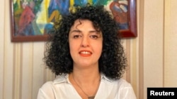 نرگس محمدی. آرشیو