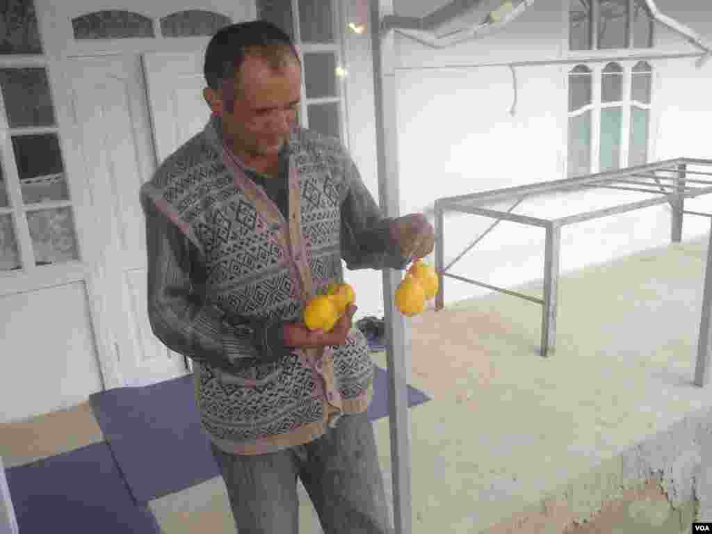 Bahrom aka qo'lida sara sitrus mevalari bilan