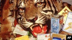 Tiger skins as well as Chinese medicines containing tiger and rhino parts confiscated by the USFWS at the Los Angeles Airport.