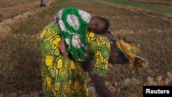 FILE - A woman, with a child on her back, in seen planting beans on a farm in Heremakono, Mali.