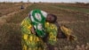 Women Farmers in Africa Call for More Support