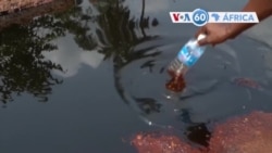 Manchetes Africanas: Regimes militares do Mali, do Níger e do Burkina Faso rejeita proposta da CEDEAO