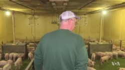 Farmers Fret Over Trump’s Trade Tactics