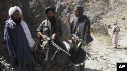 Taliban