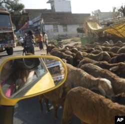 Nano Diaries: Tiny Car Makes Big India Road Trip