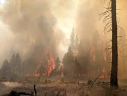 FILE - Trees burn at the Bootleg Fire in southern Oregon, July 25, 2021, in this photo provided by the Bootleg Fire Incident Command.