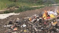 Report: Health of 200 Million Threatened by Pollution