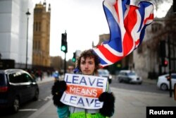 A pro-Brexit protester stands outside the Houses of Parliament in London, Britain, Feb. 7, 2019.