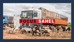 Focus Sahel : la fermeture de la frontière Bénin–Niger