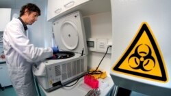 Científicos en Alemania estudian el nuevo coronavirus aparecido en China en enero de 2020.
