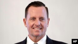 Ambasador SAD u Nemačkoj Ričard Grenel (Foto: AP/Michael Sohn)