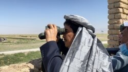 عباس ابراهیم‌زاده، عضو ولسی جرگۀ افغانستان