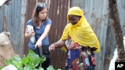 Nierenberg says Africa’s urban farmers, such as this one in Nairobi’s Kibera slum, have a lot to teach the rest of the world about growing food in a city environment
