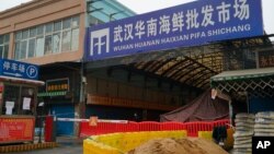 资料照：被封了的武汉华南海鲜市场 （2020年1月21日）