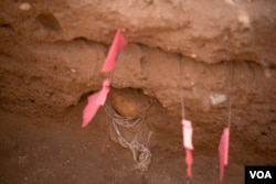 A human skull and clothing buried nearly 30 years ago is uncovered in a mass grave in Berbera, Somaliland. (J. Patinkin/VOA)