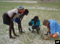 Local people in Namibia help in the search for plant diversity. Local names and plant uses can often be obtained from people living in the area.