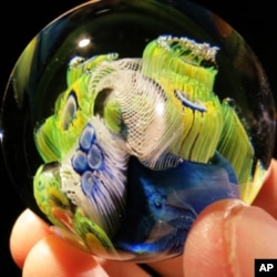 A tiny world, created by Josh Simpson, is priced at $125 with a stand.