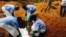 Volunteers lower a corpse into a grave in Kailahun, Sierra Leone that was prepared with safe burial practices to ensure it does not pose a health risk to others in order to stop the chain of person-to-person transmission of Ebola, August 2, 2014.