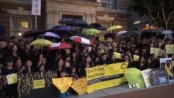 Pro-democracy Rally Draws 200 People in Washington