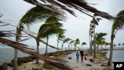 FILE - Bob Givehchi and his son Daniel, 8, Toronto residents visiting Miami, walk past debris and palm trees blowing in gusty winds in Coral Gables, Florida, on Dec. 15, 2023. Nearly all weather experts think 2024 will be one of the busiest Atlantic hurricane seasons on record.