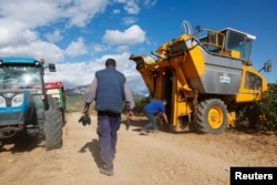 Wine grower Victor Alonso cleans his automated grape picker as his brother carries bunches of grapes near Haro, Spain, October 29, 2022. (REUTERS/Vincent West)