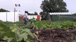 Warung VOA: Serunya Musim Panas di AS (2)