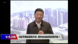 时事大家谈：习近平南巡语焉不详，四中全会如何改革开放？