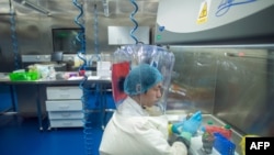 FILE - A worker is seen inside the P4 laboratory in Wuhan, capital of China's Hubei province, Feb. 23, 2017.