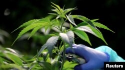 Ecuador se encuentra el martes 17 de septiembre de 2019 en el debate final de las reformas al código penal.